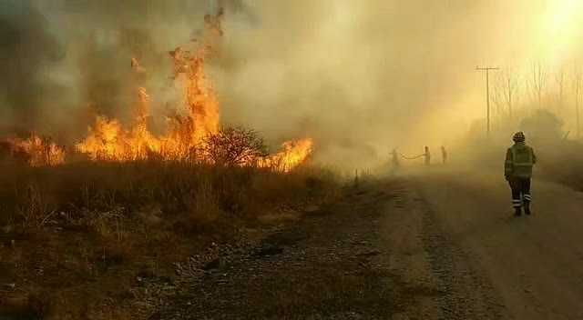 Grave incendio forestal en Ruta 1