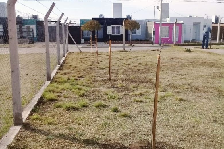 Plantaron 60 árboles en la Escuela del Benteveo