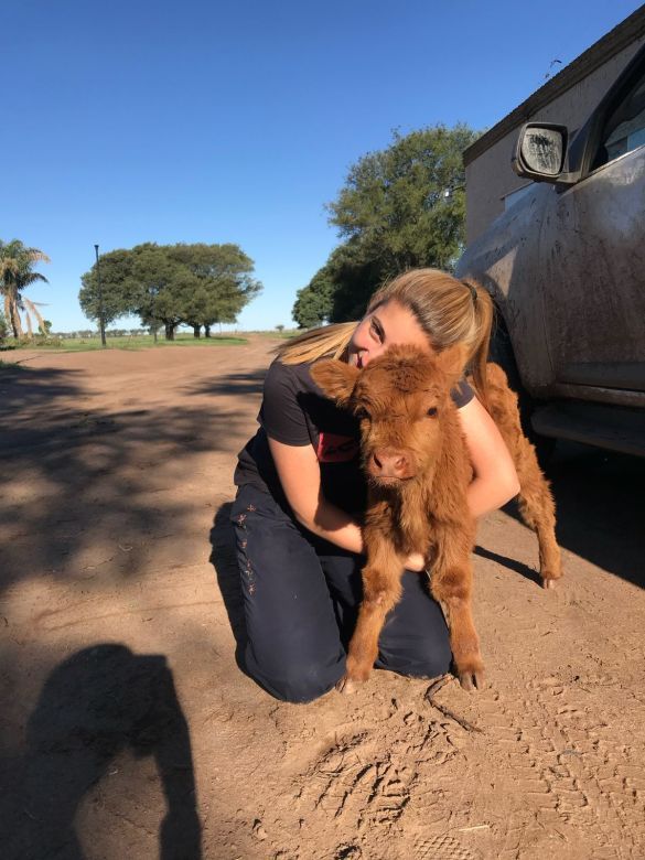 Valentina le salvó la vida a un ternerito y ahora es su mascota: "Es como un perro de 600 kilos"