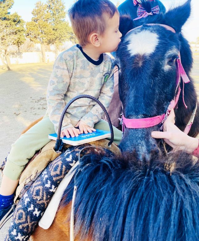 Día del caballo criollo: Vida y pasión por un "amigo" maravilloso