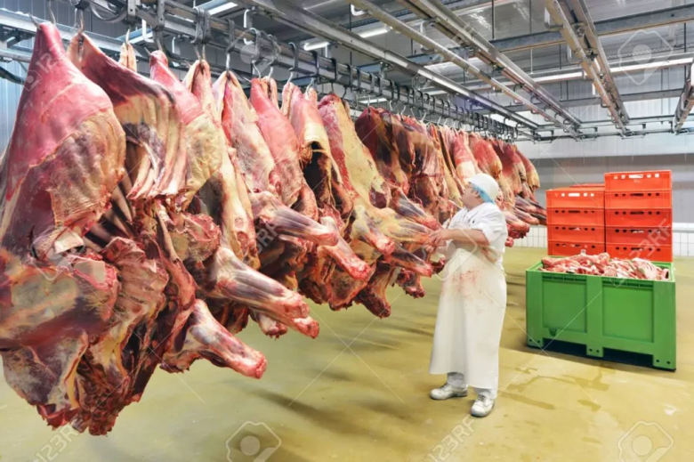 Mario Ravettino: “No somos creíbles en el mercado internacional, hay que modificar y modernizar el sistema de comercialización de carnes”