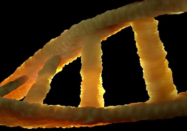 Llega la terapia de edición genética más personalizada para el cáncer