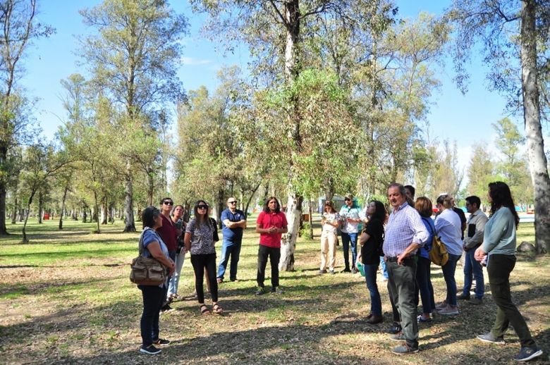 Se reforzará el tratamiento de los eucaliptos de El Lago