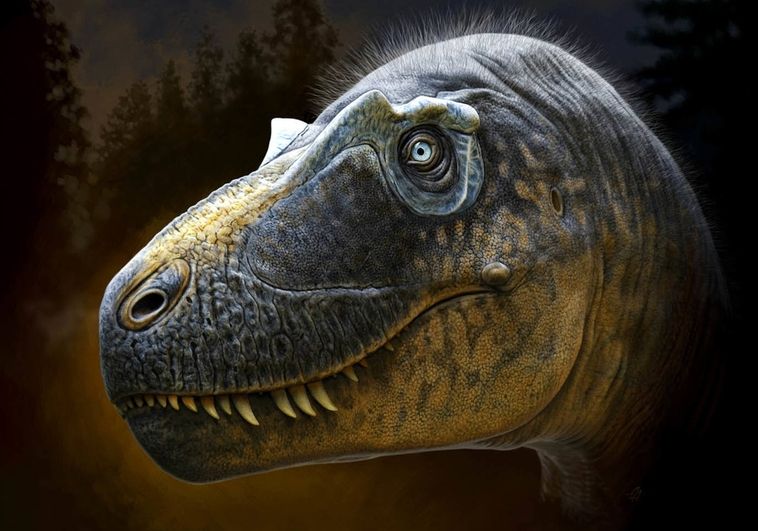¿Y si los dinosaurios no se hubieran extinguido? Por qué nuestro mundo podría ser muy diferente
