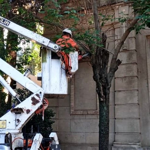 Continuan las tareas de mantenimiento en el cementerio San José 