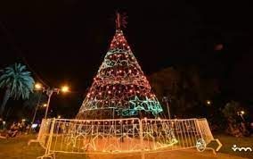 Hoy se enciende el arbolito de Navidad de plaza San Martín