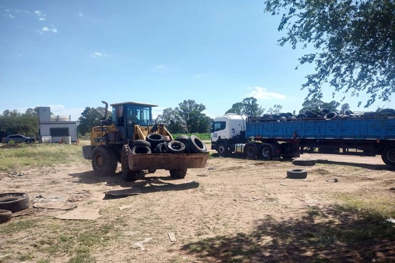 La Municipalidad retiró 19 toneladas de cubiertas de la Escombrera