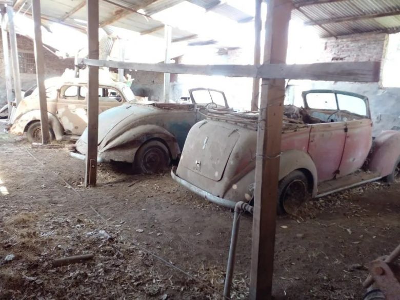 Encontró una increíble colección de autos antiguos en el galpón de un campo