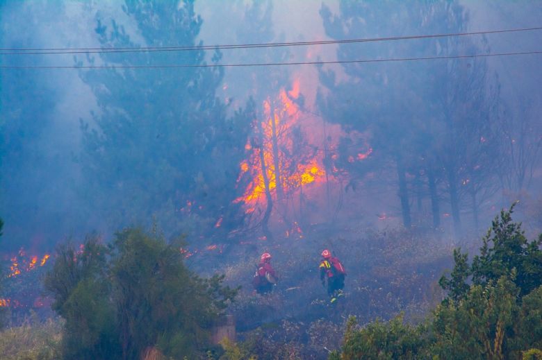 Voraz incendio en Chubut : declararon la emergencia ígnea en El Hoyo 