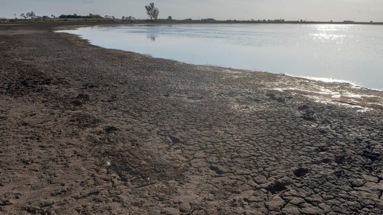 Declaran emergencia agropecuaria por sequía en Córdoba 