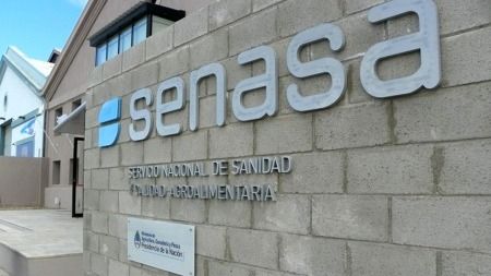 El Senasa confirmó en la última semana ocho nuevos casos de influenza aviar en el país 