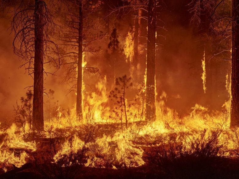 Cuándo y cómo se descubrió el fuego