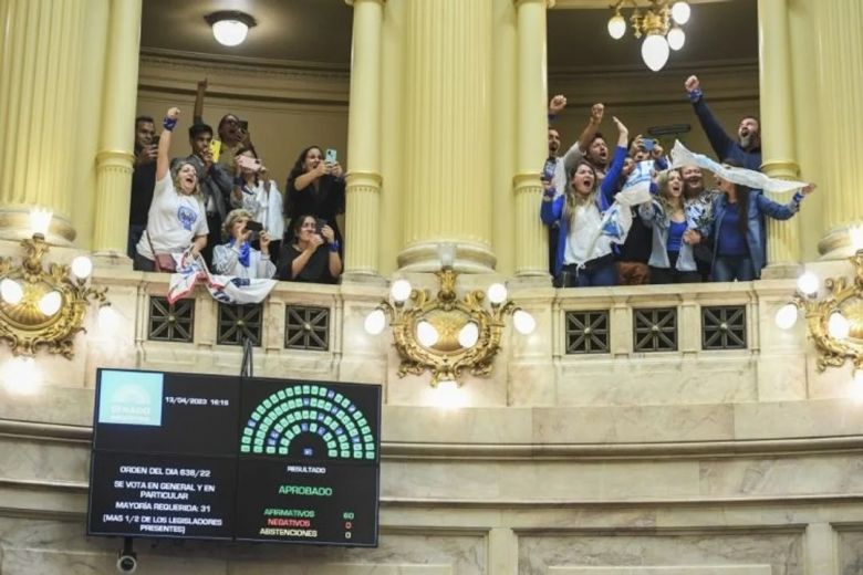 El Senado aprobó por unanimidad la ley que reconoce a la lengua de señas como idioma