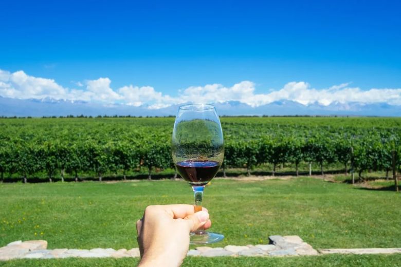 Día Mundial del Malbec, el vino más representativo de la Argentina