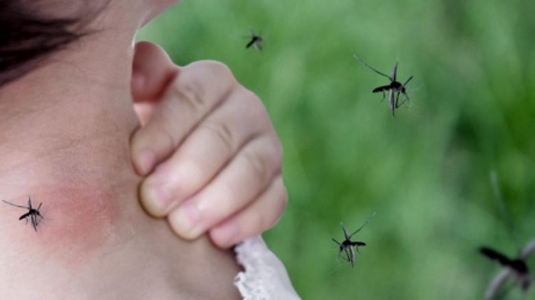 Alerta por tres nuevos casos de Dengue en San Luis