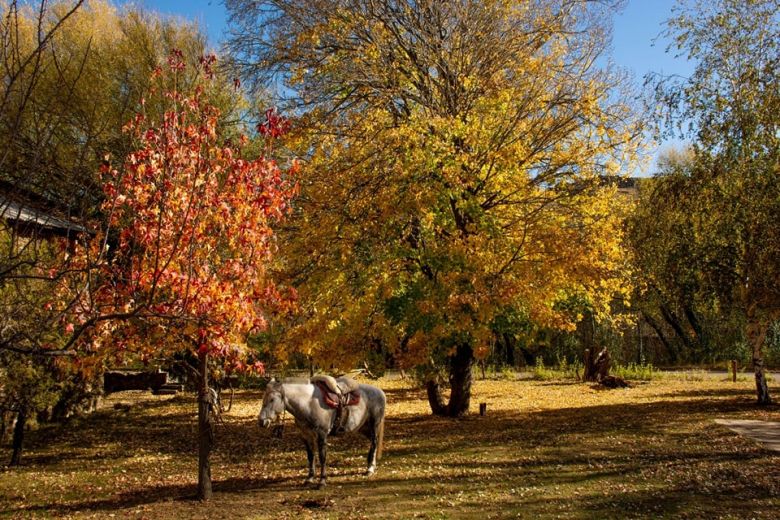 Buscan que La Carolina esté entre los pueblos más bellos