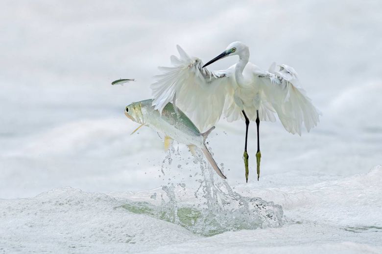 Pesca en el hielo