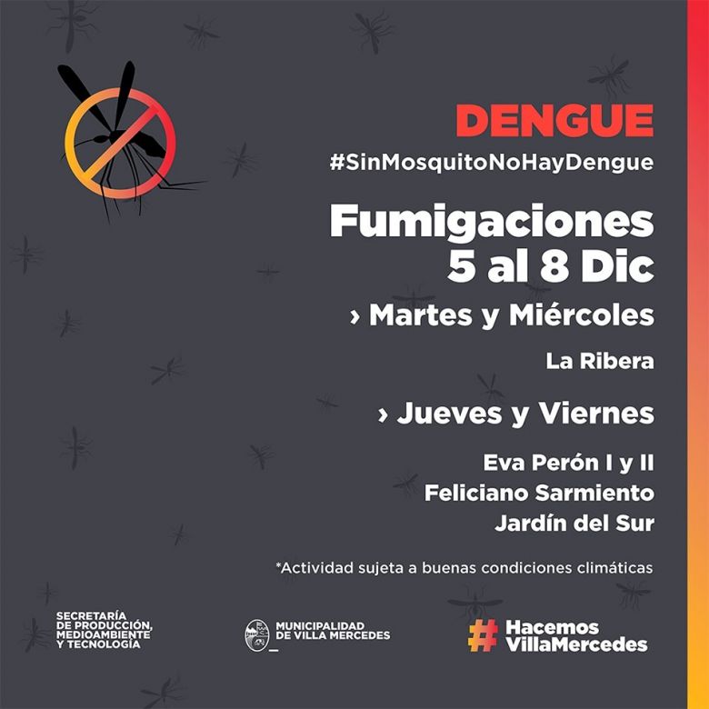 Fumigaciones y descacharrado para prevenir el dengue 