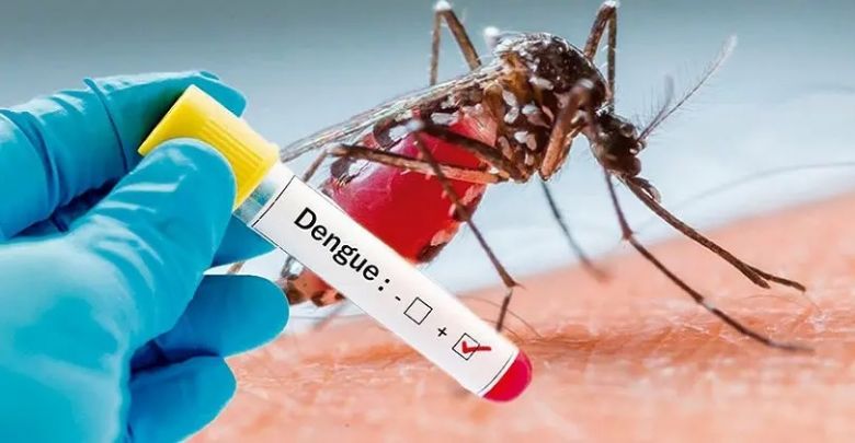 San Luis presenta "circulación viral" de dengue