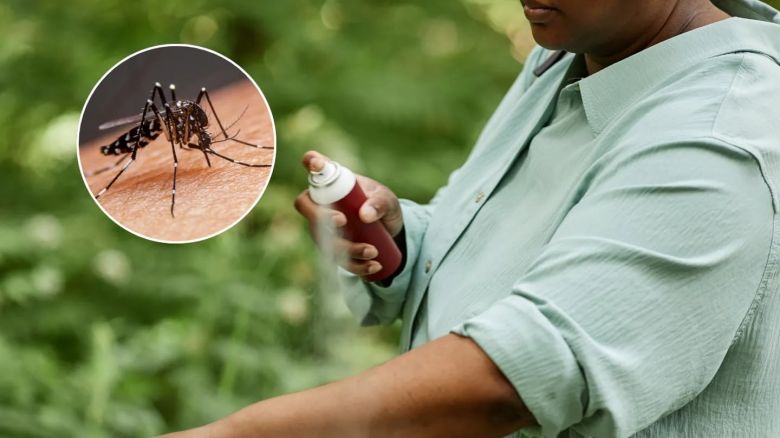 Cómo hacer el repelente casero más eficaz contra los mosquitos, según la inteligencia artificial