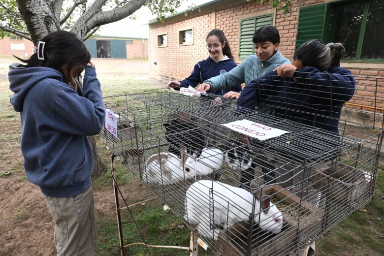 El Gobernador visitó la Escuela Técnica N°1 ‘Elena Ossola de Horas’, de Naschel