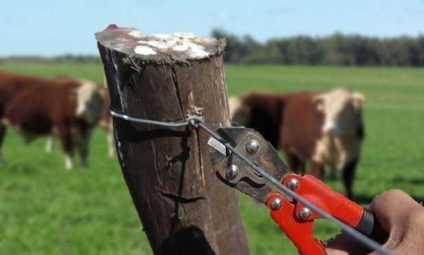 Productores reclaman ante la gran inseguridad en los campos