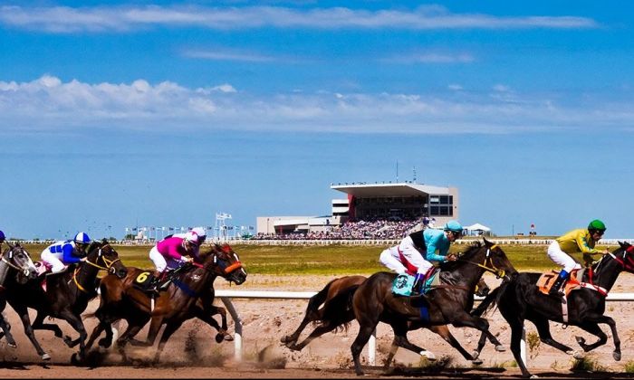 Se viene el "Clásico Aniversario" del Hipódromo de la Punta