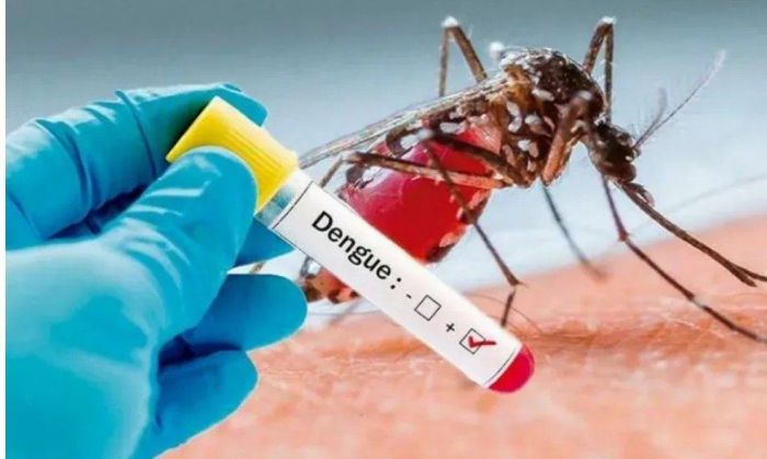 Salud y los municipios comenzarán acciones tempranas para prevenir el dengue