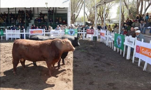 Presentaron oficialmente la 93° Expo Rural de Villa Mercedes