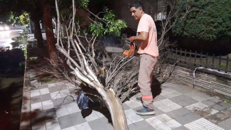 El Municipio trabaja sobre distintos puntos de la ciudad tras la grave tormenta