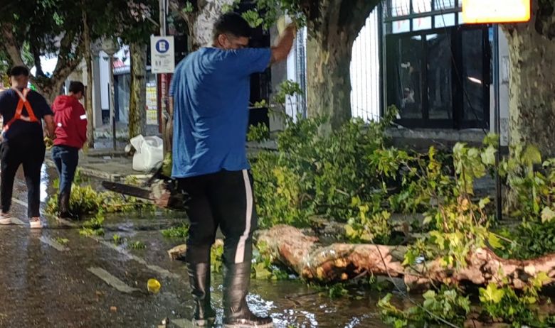 El Municipio trabaja sobre distintos puntos de la ciudad tras la grave tormenta