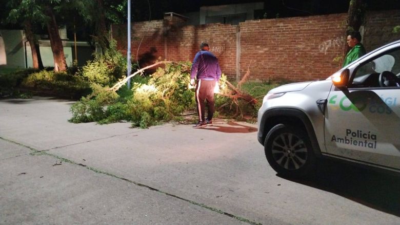 El Municipio trabaja sobre distintos puntos de la ciudad tras la grave tormenta