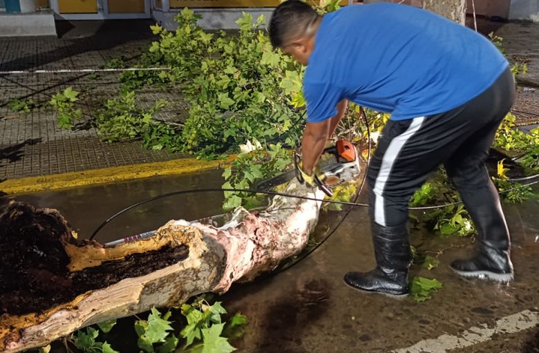 El Municipio trabaja sobre distintos puntos de la ciudad tras la grave tormenta