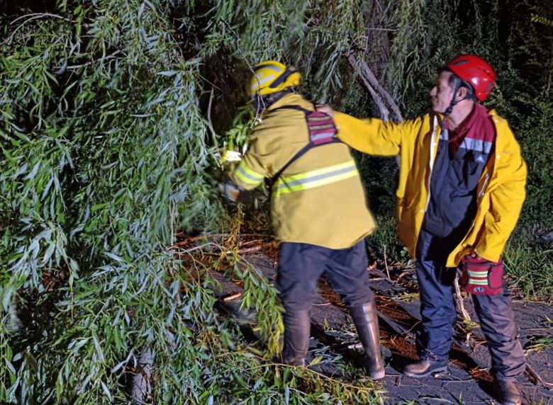 El Municipio trabaja sobre distintos puntos de la ciudad tras la grave tormenta