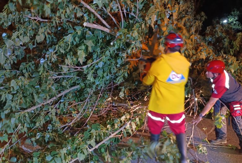 El Municipio trabaja sobre distintos puntos de la ciudad tras la grave tormenta