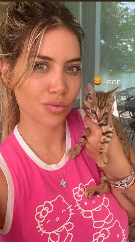 Wanda Nara se mostró indignada por el destino de las mascotas que tenía con Mauro Icardi en Turquía