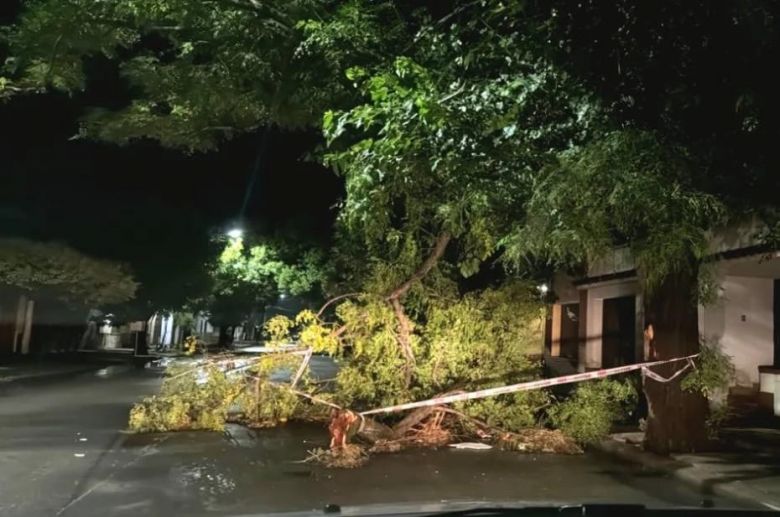 Temporal azotó Villa Mercedes