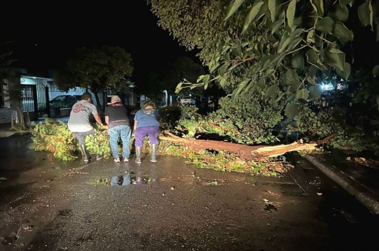 Temporal azotó Villa Mercedes