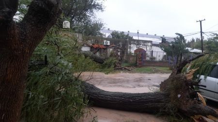 Furioso temporal en Bahía Blanca: suspendieron todas las actividades y hay decenas de familias evacuadas