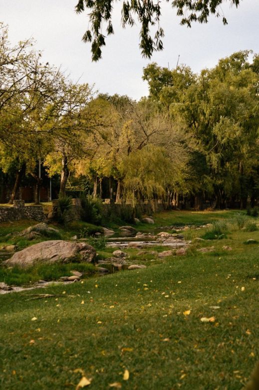 Será un miércoles algo nuboso, con viento y temperaturas primaverales