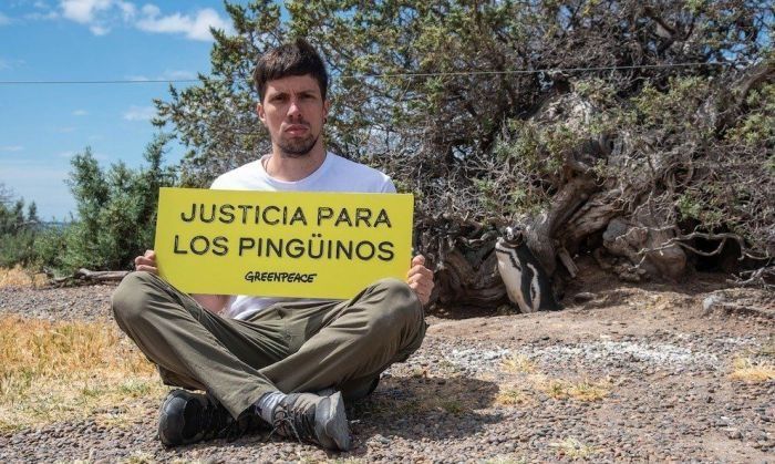 El “ecocidio” de Punta Tombo y un fallo que puede redefinir los delitos ambientales en Argentina
