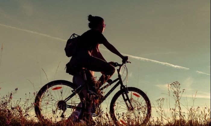 Día Mundial de la Bicicleta: salud, equidad y sostenibilidad sobre ruedas