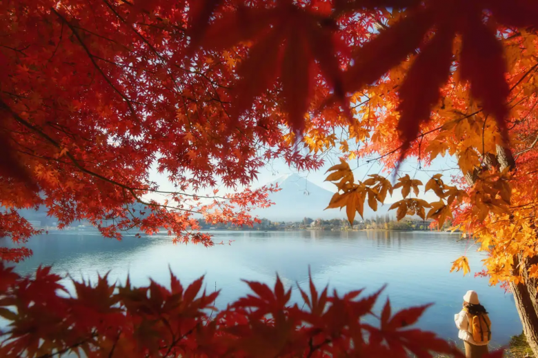 El color del Momiji