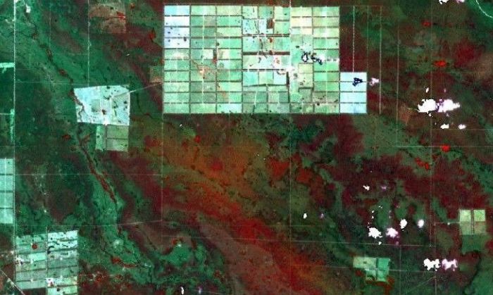 Informe de Greenpeace: En 6 meses se desforestó una superficie equivalente a una vez y media el tamaño de la ciudad de Buenos Aires