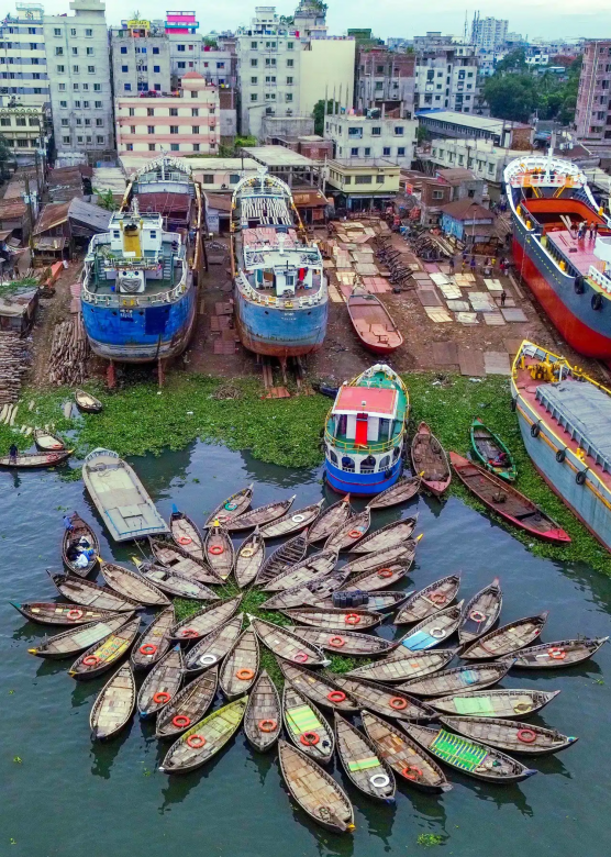 Botes en floración