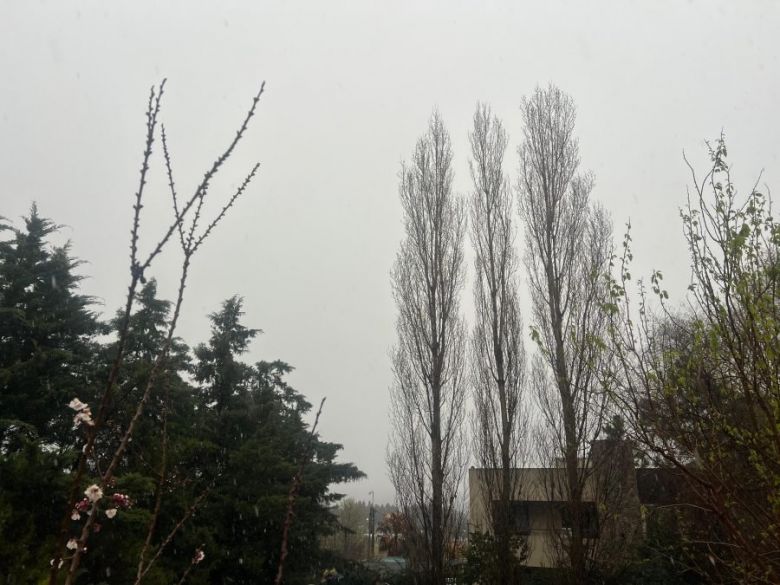 La tormenta de Santa Rosa dejó nieve, precipitaciones y vientos fuertes en la provincia
