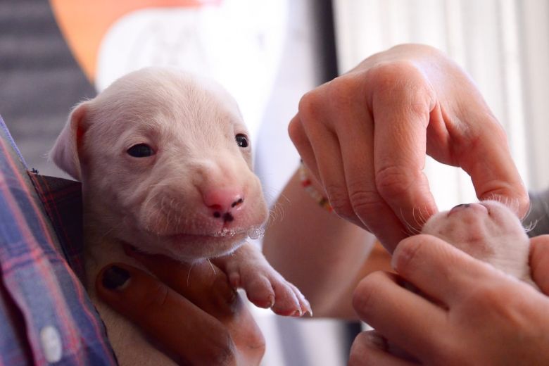 VILLA MERCEDES EN FOTOS 