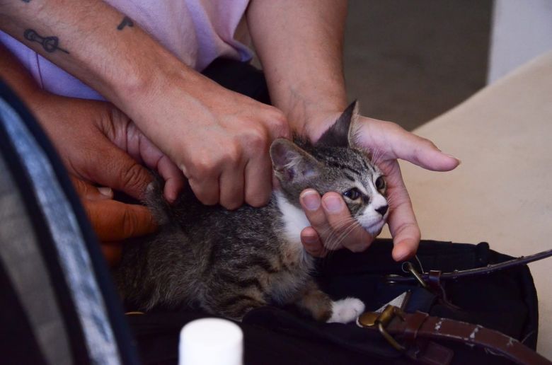 VILLA MERCEDES EN FOTOS 