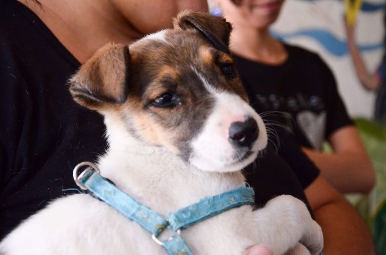 VILLA MERCEDES EN FOTOS 