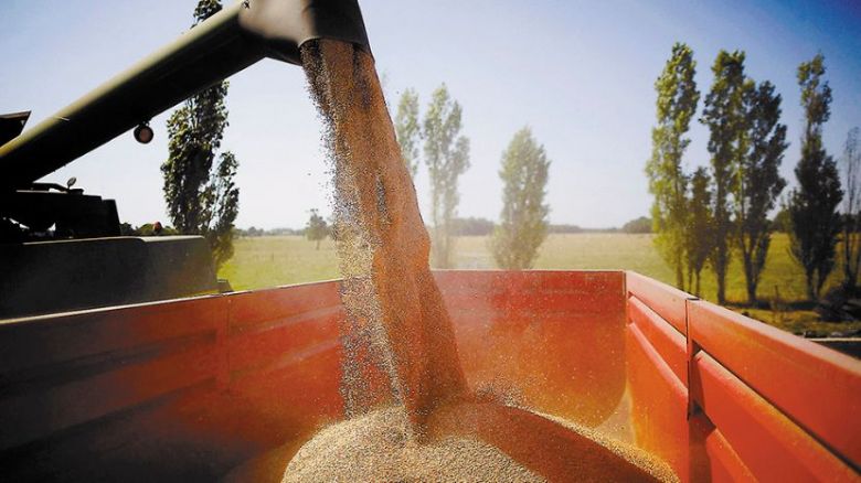 Récord histórico: el agro liquidó US$ 7.100 millones en septiembre